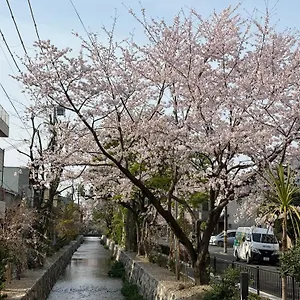 홈스테이 初音, 교토