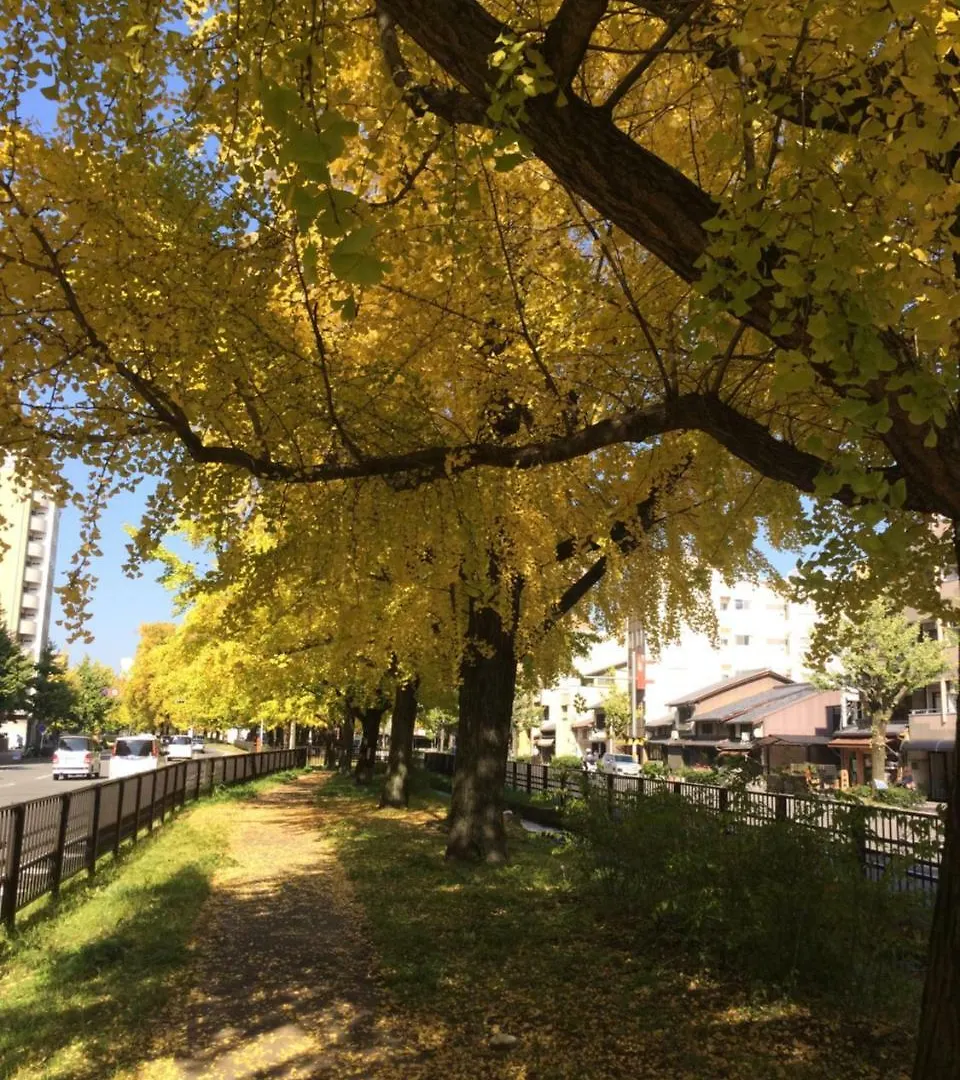 京都市一条ivyアパートメント